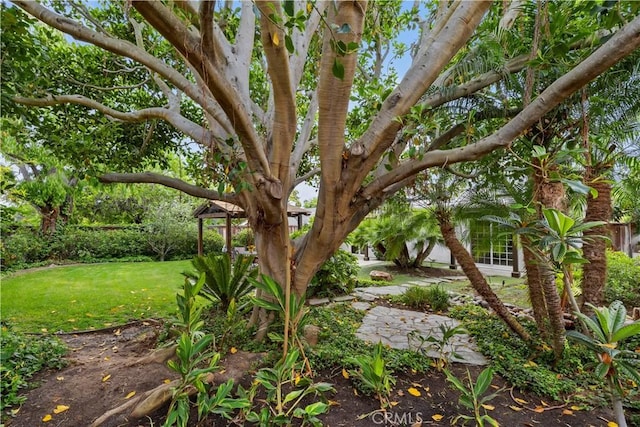 129 Five Crowns Way, Encinitas, CA 92024 - view of grassy yard