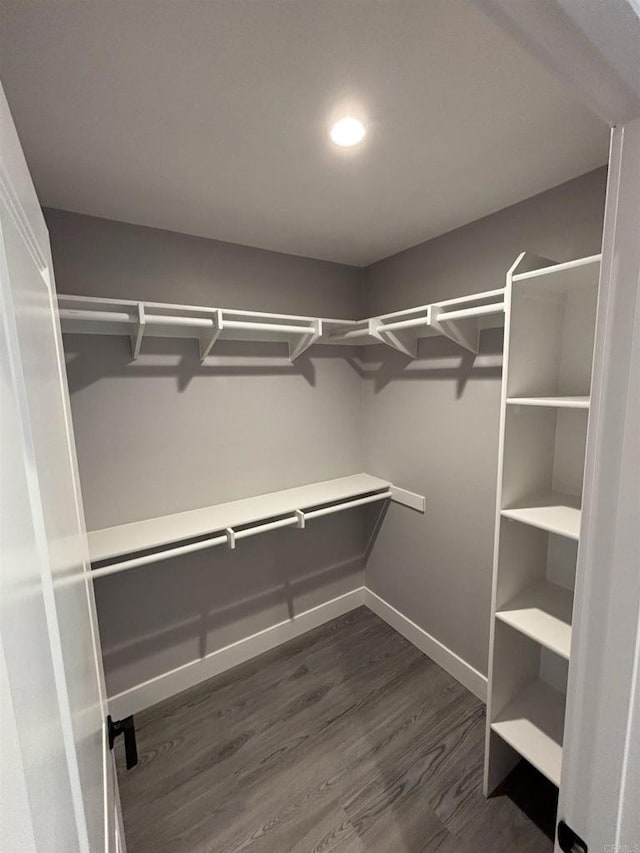13233 Beechtree St, Lakeside, CA 92040 - walk in closet with dark wood-type flooring