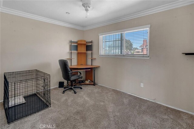 13520 Preciado Ave, Chino, CA 91710 - office area with carpet flooring and ornamental molding