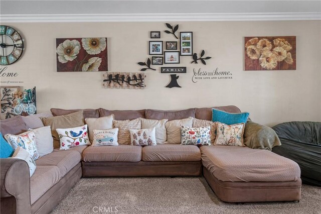 13520 Preciado Ave, Chino, CA 91710 - living area with crown molding and carpet