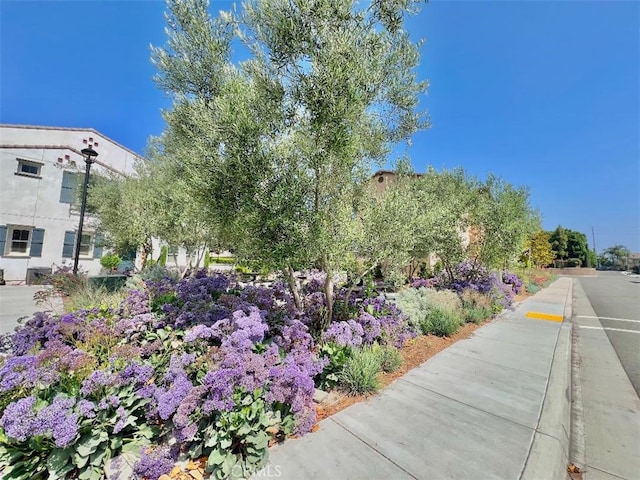 7047 Montecito Ln, Eastvale, CA 92880 - photo 33