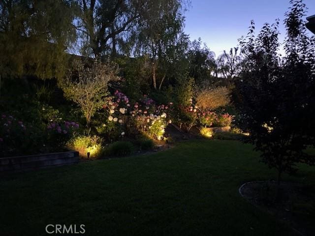 26860 Chaucer Pl, Stevenson Ranch, CA 91381 - view of grassy yard