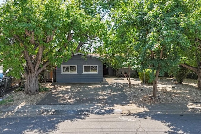 1577 Hawthorne Ave, Chico, CA 95926 - view of property hidden behind natural elements