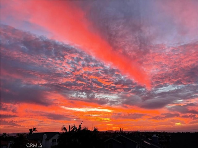 21751 Lanar, Mission Viejo, CA 92692 - view of nature at dusk