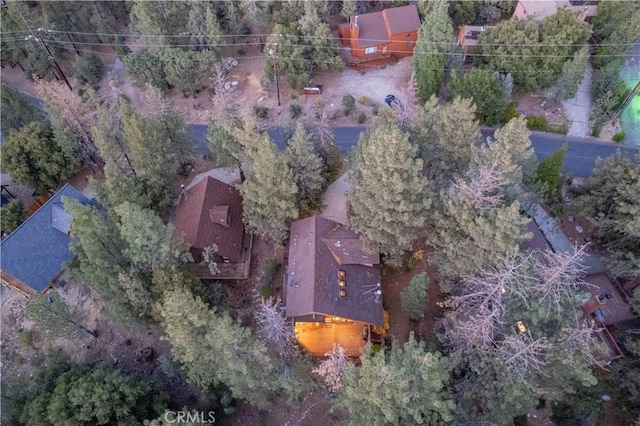 1505 Woodland Dr, Pine Mountain Club, CA 93222 - photo 57