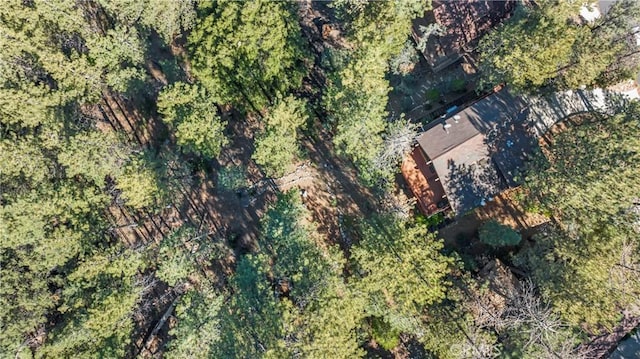 1505 Woodland Dr, Pine Mountain Club, CA 93222 - photo 58