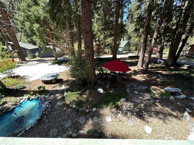 41379 Rainbow Ln, Forest Falls, CA 92339 - view of yard