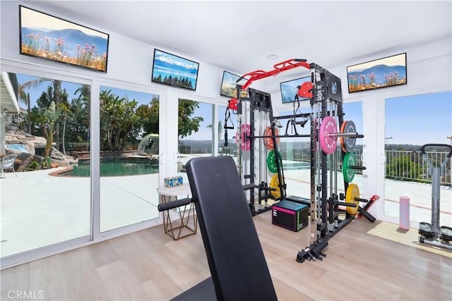 21620 Brisbane Way, Yorba Linda, CA 92887 - workout room featuring french doors, wood finished floors, and healthy amount of natural light