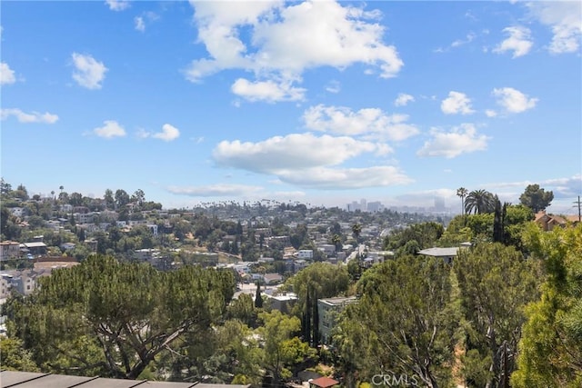 2067 Mayview Dr, Los Angeles, CA 90027 - photo 10