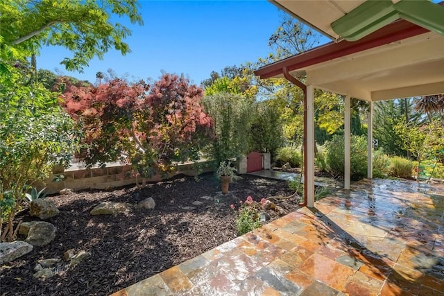 2056 Sierra Way, San Luis Obispo, CA 93401 - view of patio featuring a storage shed
