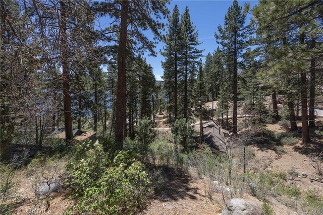 352 Big Bear Trl, Fawnskin, CA 92333 - photo 21