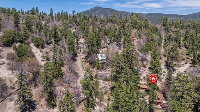 352 Big Bear Trl, Fawnskin, CA 92333 - photo 7