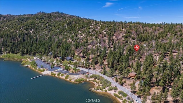 352 Big Bear Trl, Fawnskin, CA 92333 - photo 12