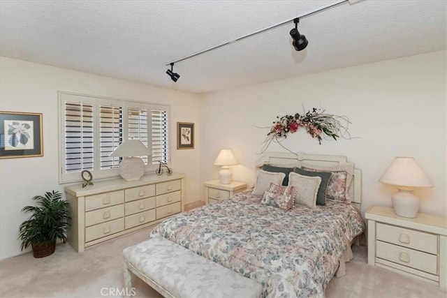 548 Via Ln, Paloma, Riverside, CA 92507 - bedroom with rail lighting, light colored carpet, and a textured ceiling