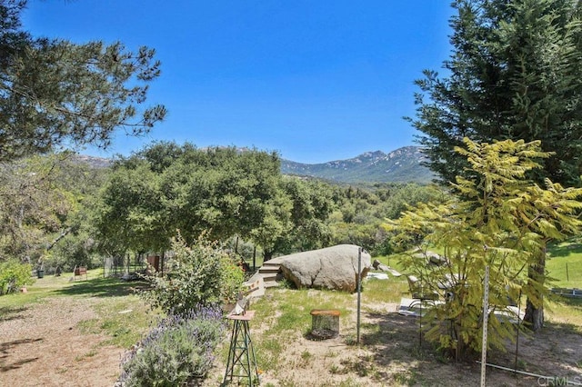 17915 Mark Lee Dr, Jamul, CA 91935 - photo 43