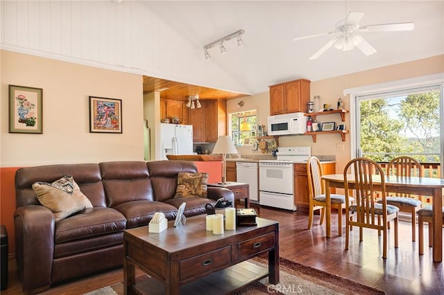 30400 Live Oak Dr, Running Springs, CA 92382 - living area featuring lofted ceiling, dark wood-style floors, a ceiling fan, and track lighting
