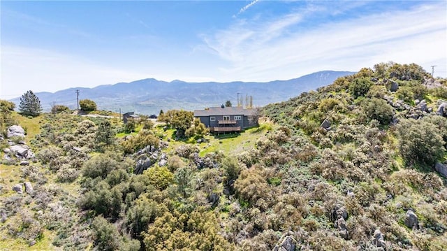 26501 Skyline Dr, Tehachapi, CA 93561 - photo 52