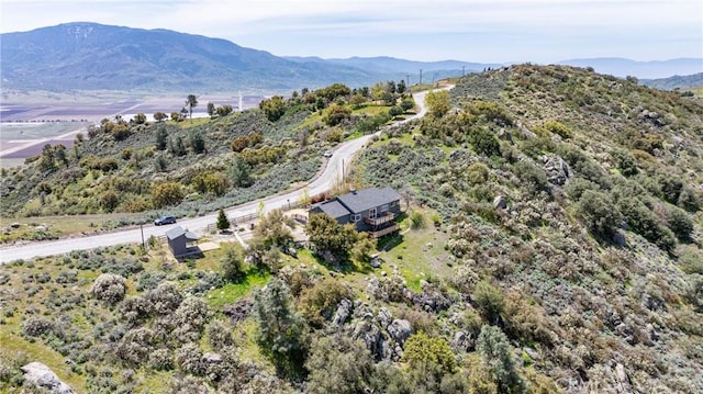 26501 Skyline Dr, Tehachapi, CA 93561 - photo 49
