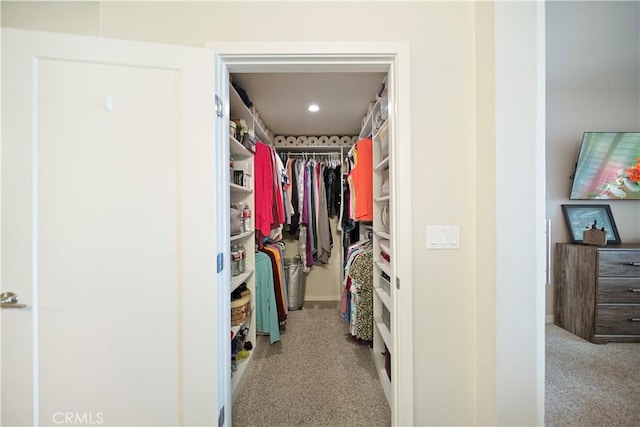 4048 Tradewinds Dr, Oxnard, CA 93035 - walk in closet with carpet flooring