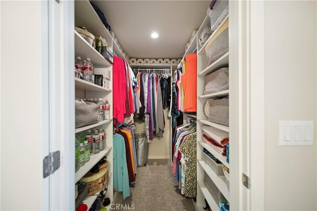 4048 Tradewinds Dr, Oxnard, CA 93035 - walk in closet with carpet