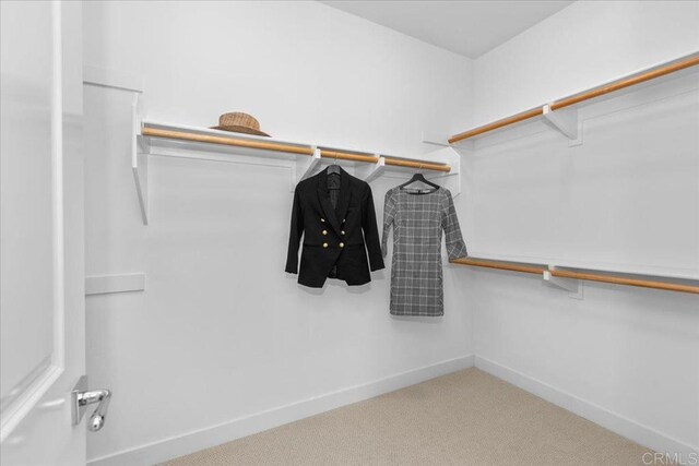 7147 Sitio Bahia, Carlsbad, CA 92009 - walk in closet featuring carpet floors