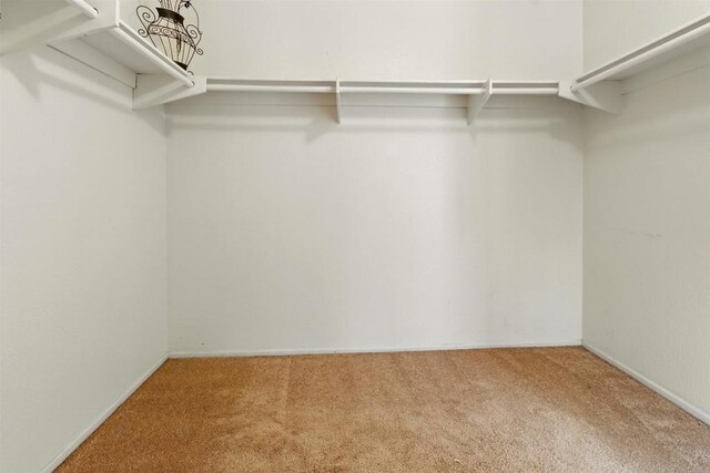 2344 Greenbriar Dr Unit A, Chula Vista, CA 91915 - walk in closet featuring carpet flooring