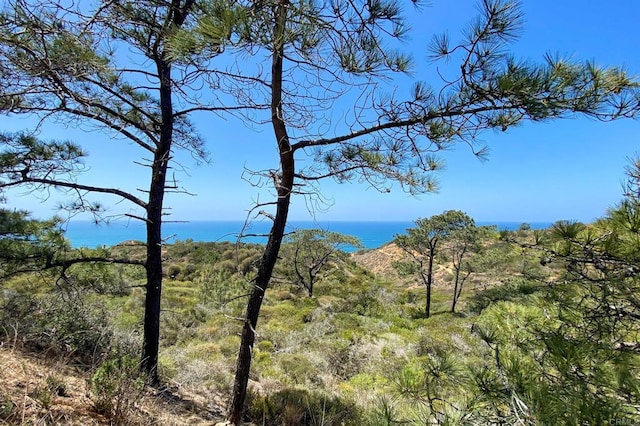 13754 Mango Dr Unit 111, Del Mar, CA 92014 - view of local wilderness with a large body of water