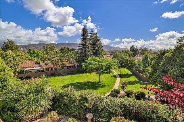 813 Woodlawn Dr, Thousand Oaks, CA 91360 - photo 8