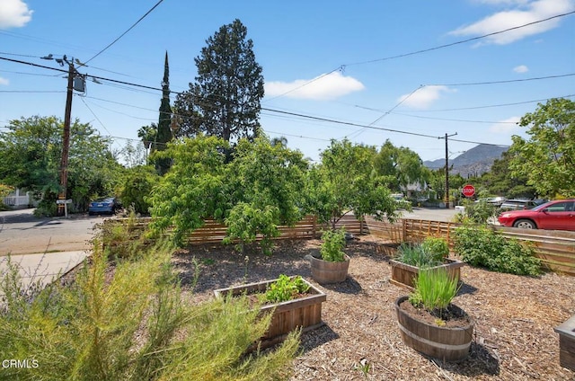310 N Fulton St, Ojai, CA 93023 - view of yard featuring a vegetable garden and a mountain view