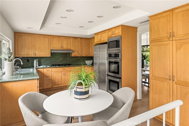 19795 Futura Dr, Yorba Linda, CA 92886 - kitchen with under cabinet range hood, a tray ceiling, appliances with stainless steel finishes, tasteful backsplash, and recessed lighting