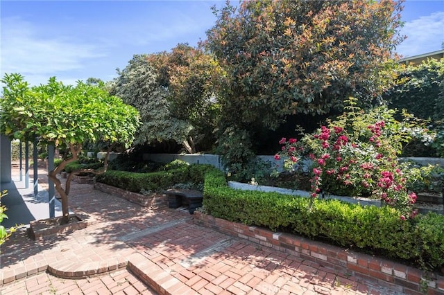 6210 Riverside Ave, Rialto, CA 92377 - view of patio