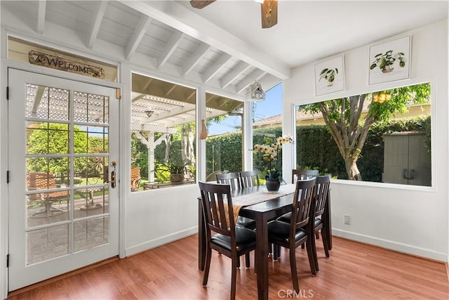 9214 Mclennan Ave, Northridge, CA 91343 - view of sunroom
