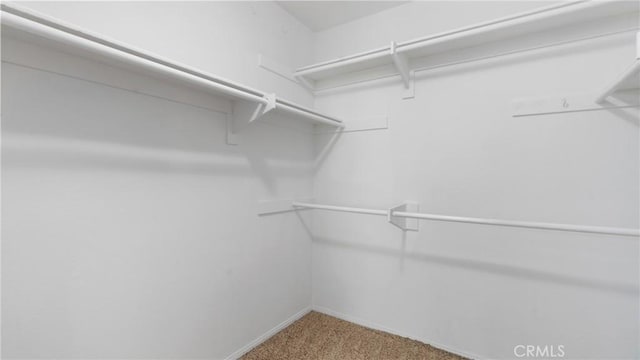 31850 Camino Marea, Temecula, CA 92592 - walk in closet featuring carpet flooring