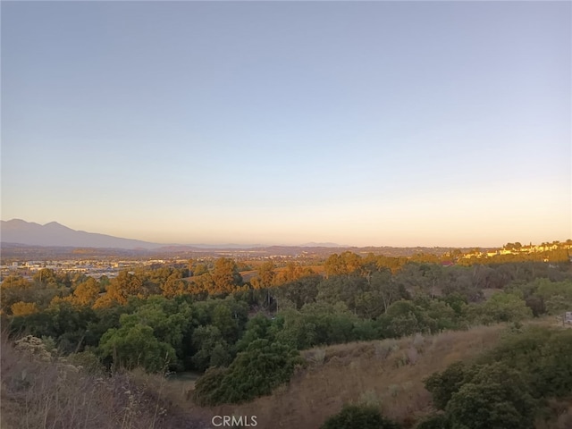 16614 Samgerry Dr, Valinda, CA 91744 - photo 36
