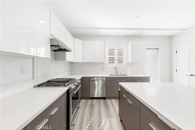 1359 Point Loma Pl, Walnut, CA 91789 - kitchen featuring stainless steel appliances, under cabinet range hood, light countertops, white cabinetry, and modern cabinets