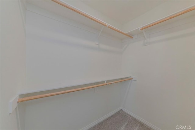 8708 Celebration St, Chino, CA 91708 - walk in closet with carpet flooring