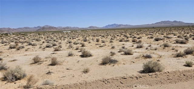 800 Smoke Bush Rd, Lucerne Valley, CA 92356 - photo 3