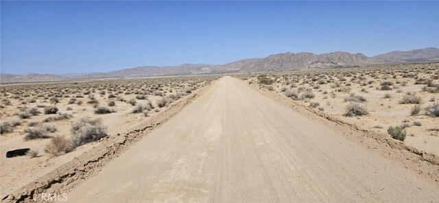 800 Smoke Bush Rd, Lucerne Valley, CA 92356 - photo 4