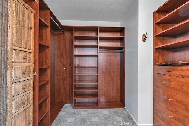 3434 E Lambeth Ct Unit F, Orange, CA 92869 - walk in closet featuring carpet floors