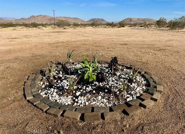 55354 El Lobo Rd, Landers, CA 92285 - view of yard with a mountain view and a view of rural / pastoral area