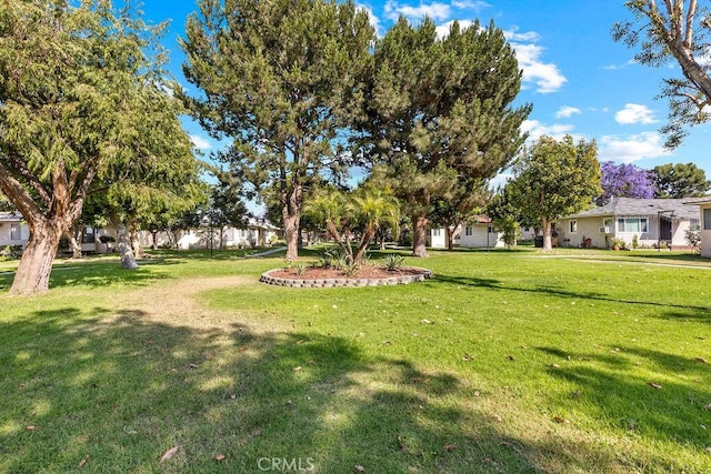 23277 Maribel Ave, Carson, CA 90745 - view of grassy yard