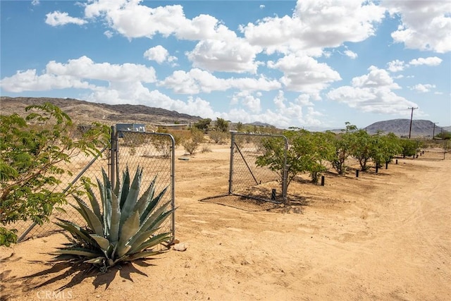 2250 Delgada Ave, Landers, CA 92285 - view of yard with a mountain view and a rural view