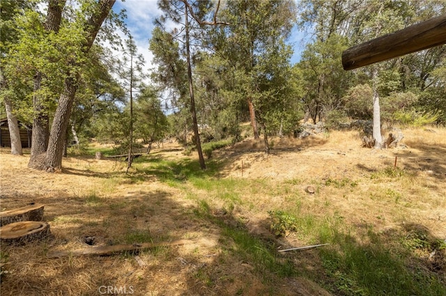32413 Chickasaw Rd, Coarsegold, CA 93614 - photo 58