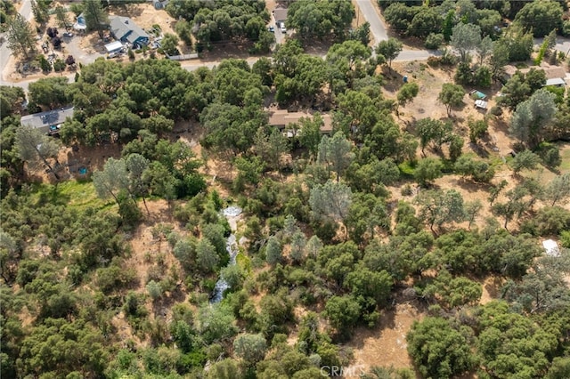 32413 Chickasaw Rd, Coarsegold, CA 93614 - photo 43