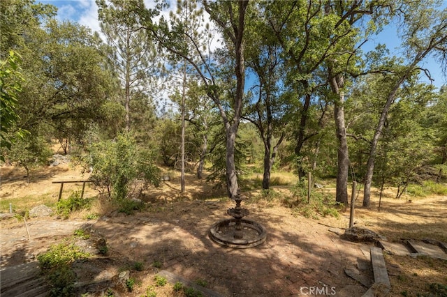 32413 Chickasaw Rd, Coarsegold, CA 93614 - photo 55