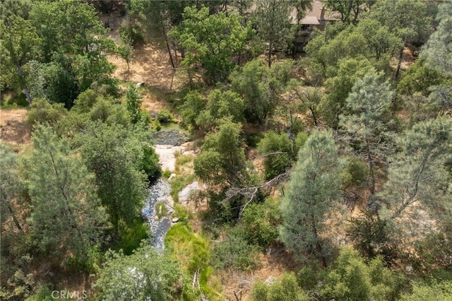 32413 Chickasaw Rd, Coarsegold, CA 93614 - photo 45