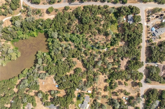 32413 Chickasaw Rd, Coarsegold, CA 93614 - photo 42