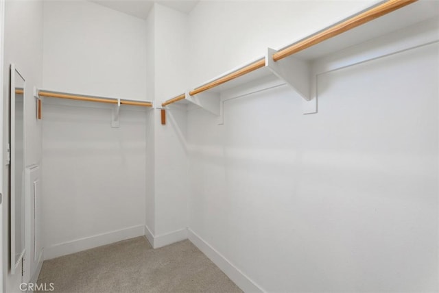 12178 Greenleaf Ln, Garden Grove, CA 92840 - walk in closet with carpet floors