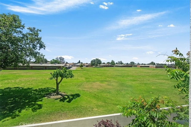 12178 Greenleaf Ln, Garden Grove, CA 92840 - view of green lawn