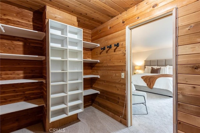 42768 Santa Suzanne Pl, Temecula, CA 92592 - spacious closet featuring carpet